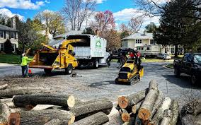 Best Lawn Pest Prevention  in North Baltimore, OH